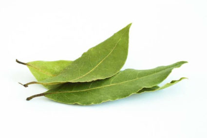 Отвар из листьев лавра,способен вывести соли из суставов