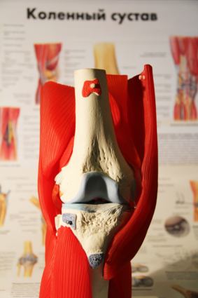 Боли в коленном суставе во время сгибания могут появиться по разным причинам