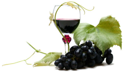 Большое количество полезных веществ содержит виноград