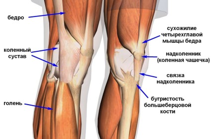 Повреждения боковых связок коленного сустава