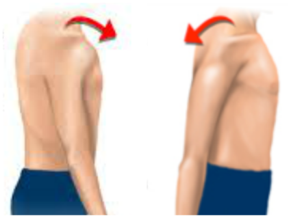 Передний и задний вывих плеча