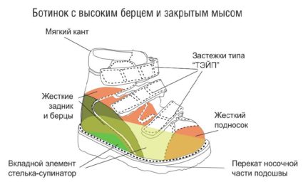 Ортопедами-специалистами создана специальная ортопедическая обувь